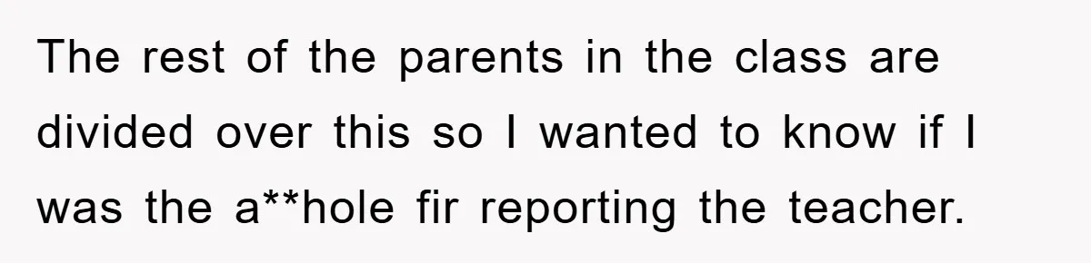 The rest of the parents in the class are divided over this so I wanted to know if I was the a**hole fir reporting the teacher.