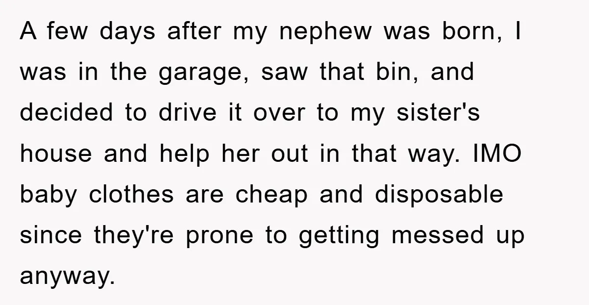 A few days after my nephew was born, I was in the garage, saw that bin, and decided to drive it over to my sister's house and help her out...