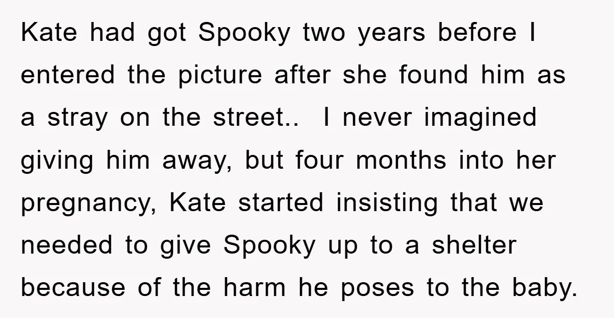 Kate had got Spooky two years before I entered the picture after she found him as a stray on the street.. ​ I never imagined giving him away, but four...