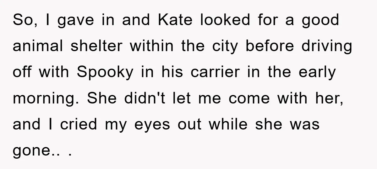 So, I gave in and Kate looked for a good animal shelter within the city before driving off with Spooky in his carrier in the early morning. She didn't let...