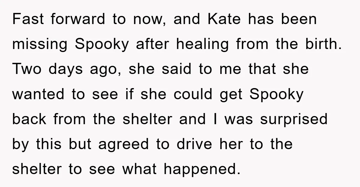 Fast forward to now, and Kate has been missing Spooky after healing from the birth. Two days ago, she said to me that she wanted to see if she could...