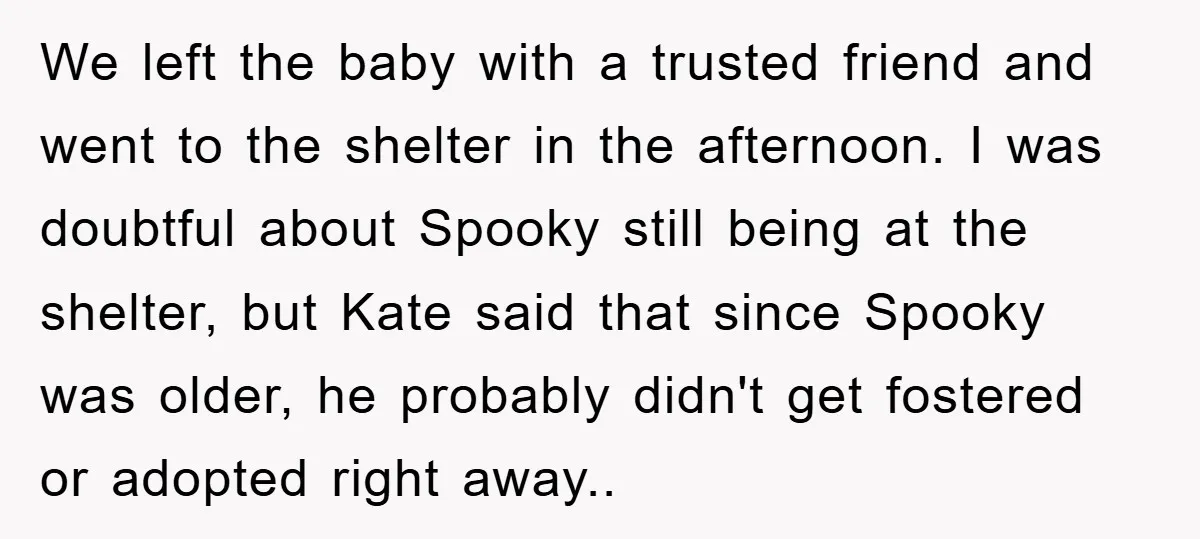 We left the baby with a trusted friend and went to the shelter in the afternoon. I was doubtful about Spooky still being at the shelter, but Kate said that...