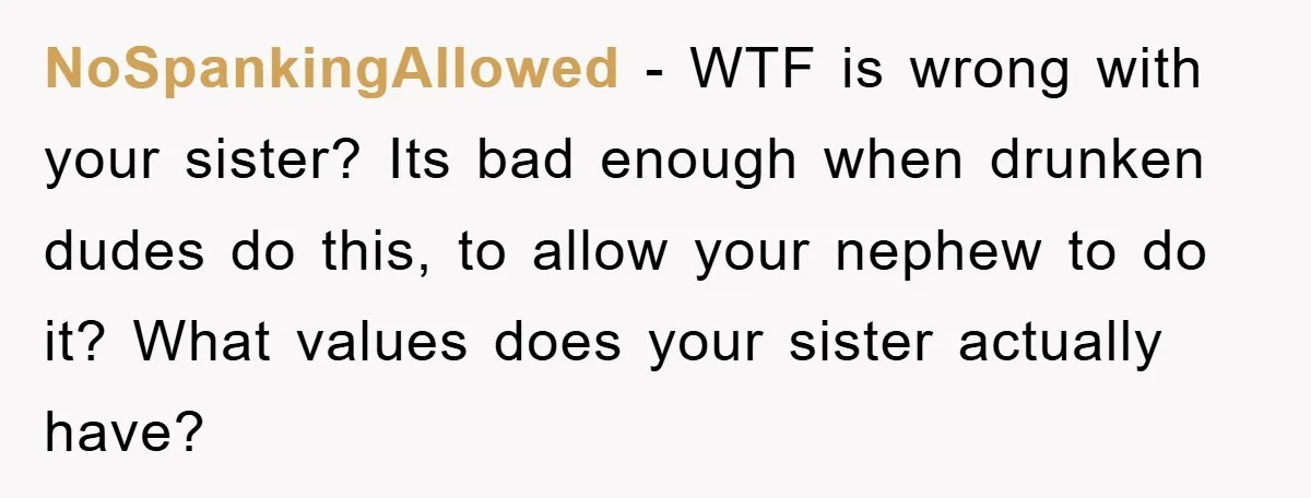 NoSpankingAllowed − WTF is wrong with your sister? Its bad enough when drunken dudes do this, to allow your nephew to do it? What values does your sister actually have?