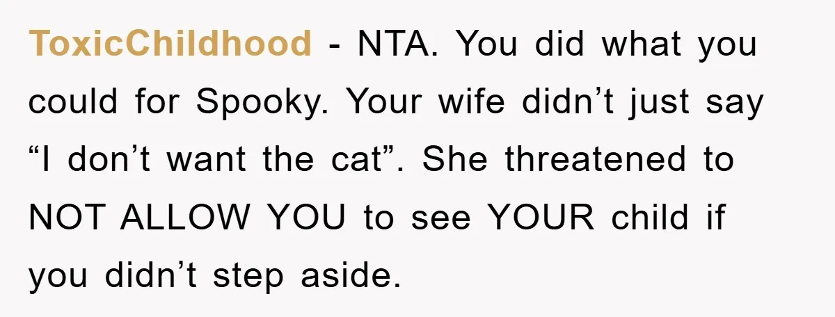 ToxicChildhood − NTA. You did what you could for Spooky. Your wife didn’t just say “I don’t want the cat”. She threatened to NOT ALLOW YOU to see YOUR child...