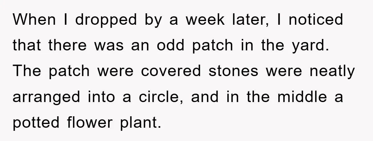 When I dropped by a week later, I noticed that there was an odd patch in the yard. The patch were covered stones were neatly arranged into a circle, and...