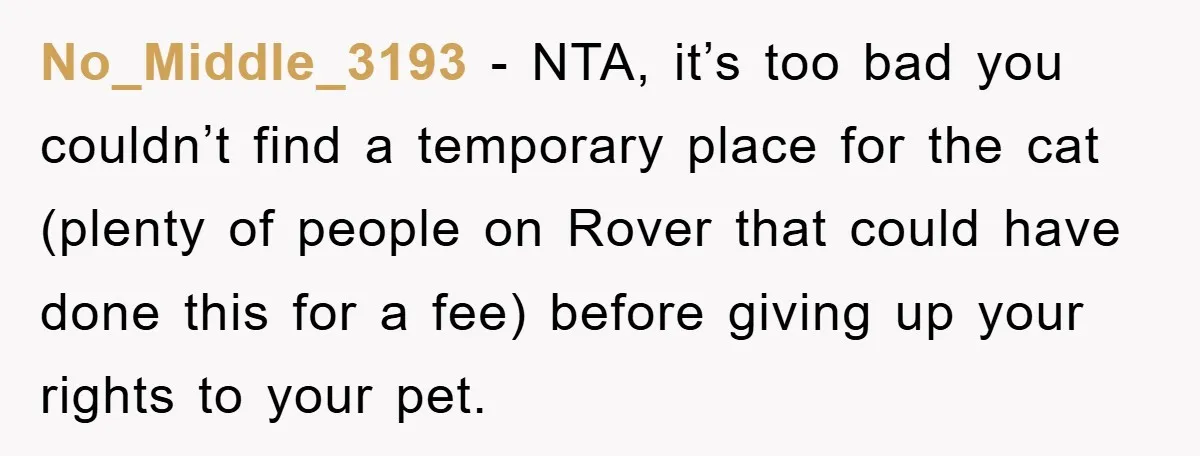 No_Middle_3193 − NTA, it’s too bad you couldn’t find a temporary place for the cat (plenty of people on Rover that could have done this for a fee) before giving...