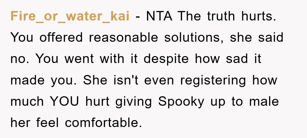 Fire_or_water_kai − NTA The truth hurts. You offered reasonable solutions, she said no. You went with it despite how sad it made you. She isn't even registering how much YOU...