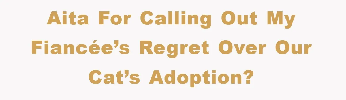AITA for Calling Out My Fiancée’s Regret Over Our Cat’s Adoption?