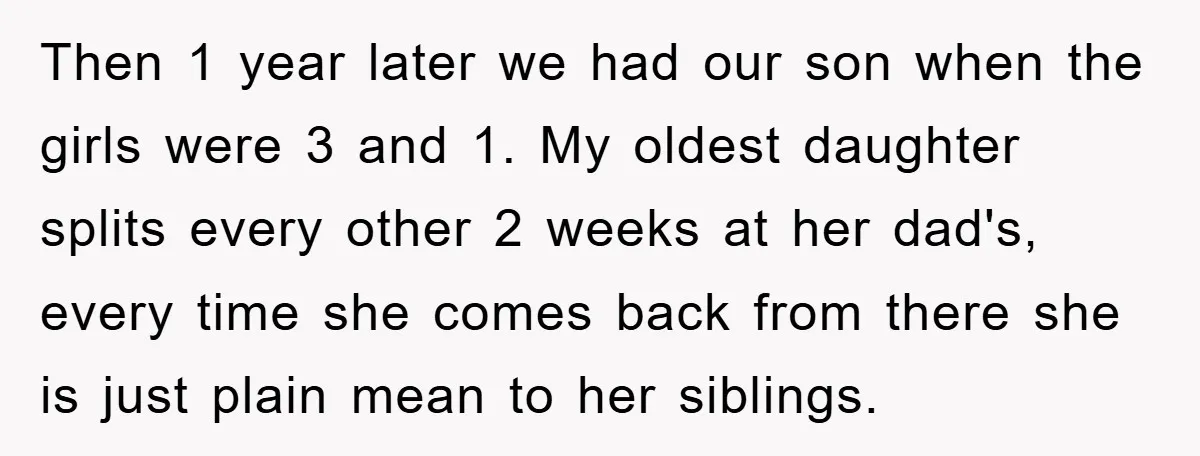 Then 1 year later we had our son when the girls were 3 and 1. My oldest daughter splits every other 2 weeks at her dad's, every time she comes...