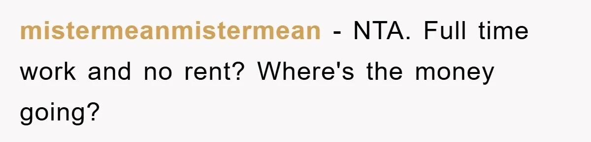 mistermeanmistermean − NTA. Full time work and no rent? Where's the money going?