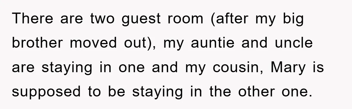 There are two guest room (after my big brother moved out), my auntie and uncle are staying in one and my cousin, Mary is supposed to be staying in the...