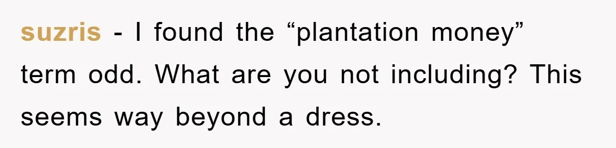 suzris - I found the “plantation money” term odd. What are you not including? This seems way beyond a dress.