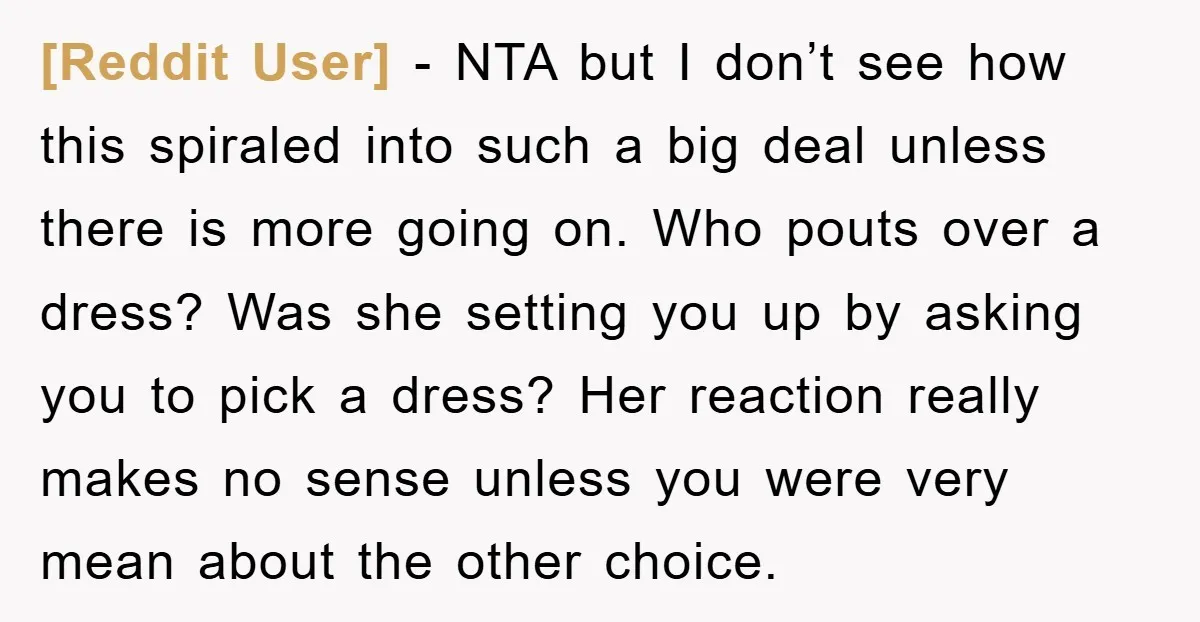 [Reddit User] - NTA but I don’t see how this spiraled into such a big deal unless there is more going on. Who pouts over a dress? Was she setting...