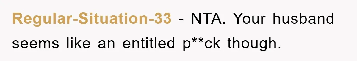 Regular-Situation-33 − NTA. Your husband seems like an entitled p**ck though.