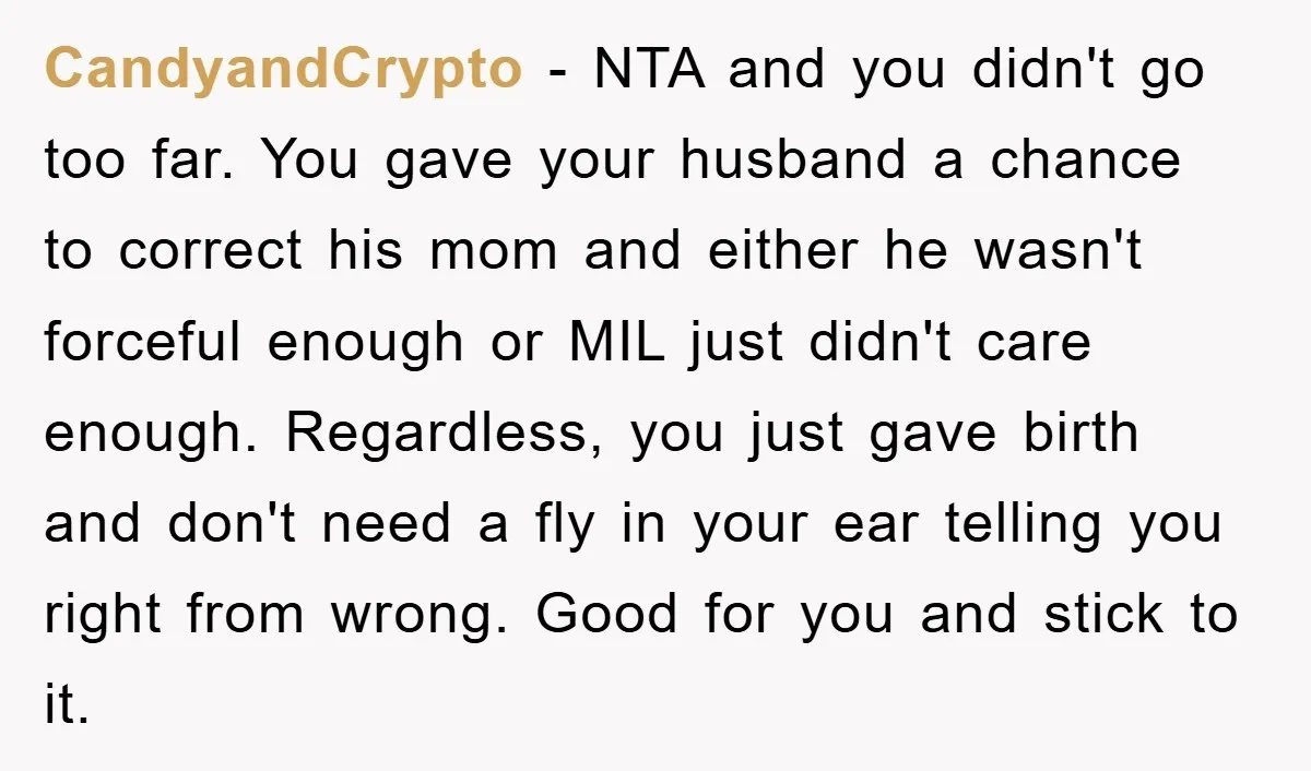 CandyandCrypto − NTA and you didn't go too far. You gave your husband a chance to correct his mom and either he wasn't forceful enough or MIL just didn't care...