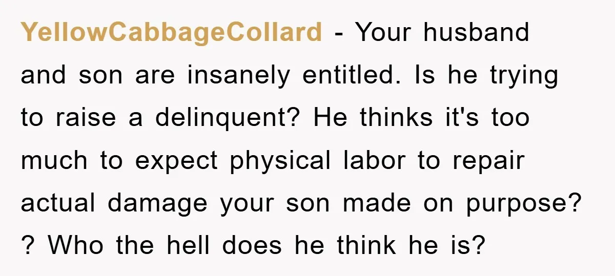 YellowCabbageCollard − Your husband and son are insanely entitled. Is he trying to raise a delinquent? He thinks it's too much to expect physical labor to repair actual damage your...