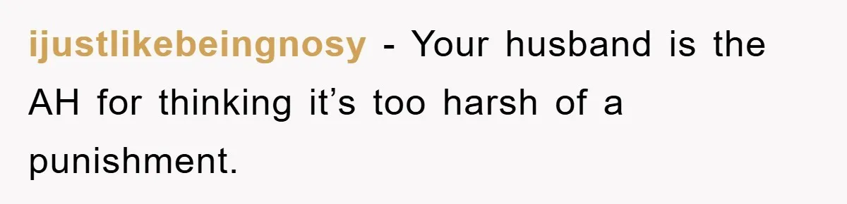 ijustlikebeingnosy − Your husband is the AH for thinking it’s too harsh of a punishment.