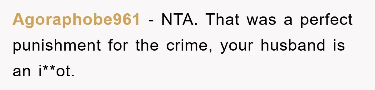 Agoraphobe961 − NTA. That was a perfect punishment for the crime, your husband is an i**ot.