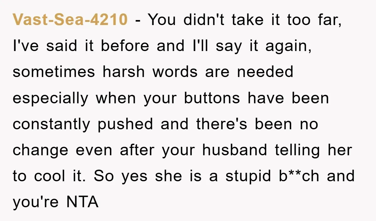 Vast-Sea-4210 − You didn't take it too far, I've said it before and I'll say it again, sometimes harsh words are needed especially when your buttons have been constantly pushed...