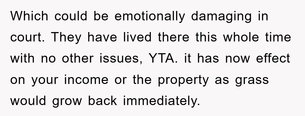 Which could be emotionally damaging in court. They have lived there this whole time with no other issues, YTA. it has now effect on your income or the property as...
