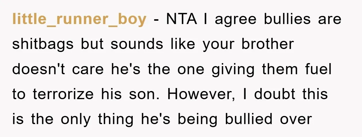 little_runner_boy − NTA I agree bullies are shitbags but sounds like your brother doesn't care he's the one giving them fuel to terrorize his son. However, I doubt this is...