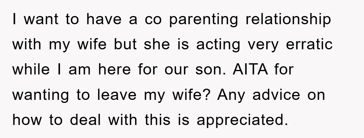 I want to have a co parenting relationship with my wife but she is acting very erratic while I am here for our son. AITA for wanting to leave my...