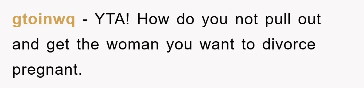 gtoinwq − YTA! How do you not pull out and get the woman you want to divorce pregnant.