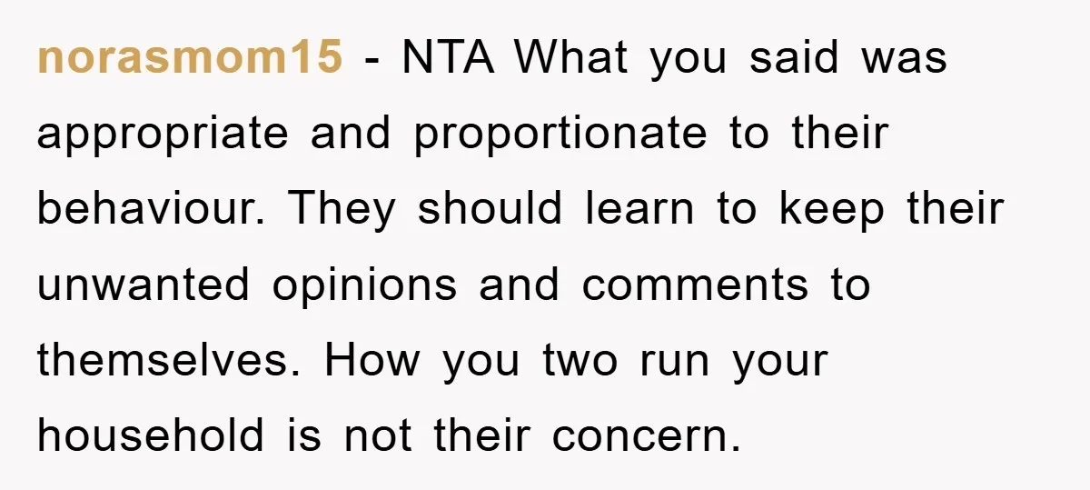 norasmom15 − NTA What you said was appropriate and proportionate to their behaviour. They should learn to keep their unwanted opinions and comments to themselves. How you two run your...