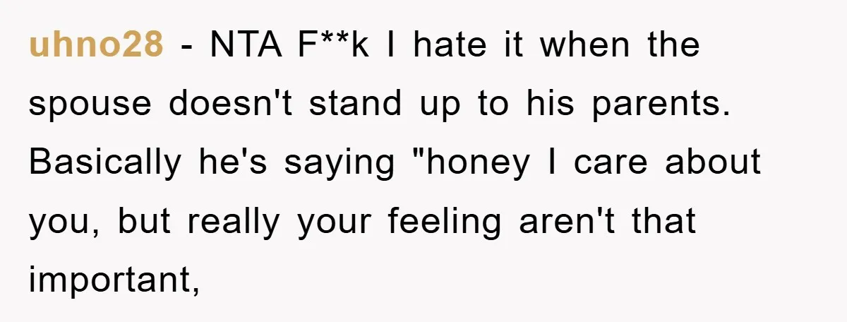 uhno28 − NTA F**k I hate it when the spouse doesn't stand up to his parents. Basically he's saying "honey I care about you, but really your feeling aren't that...
