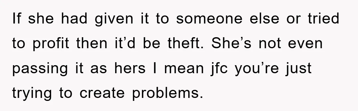 If she had given it to someone else or tried to profit then it’d be theft. She’s not even passing it as hers I mean jfc you’re just trying to...