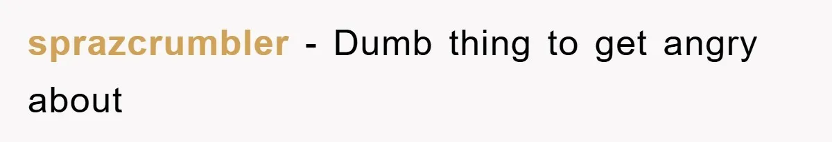 sprazcrumbler − Dumb thing to get angry about