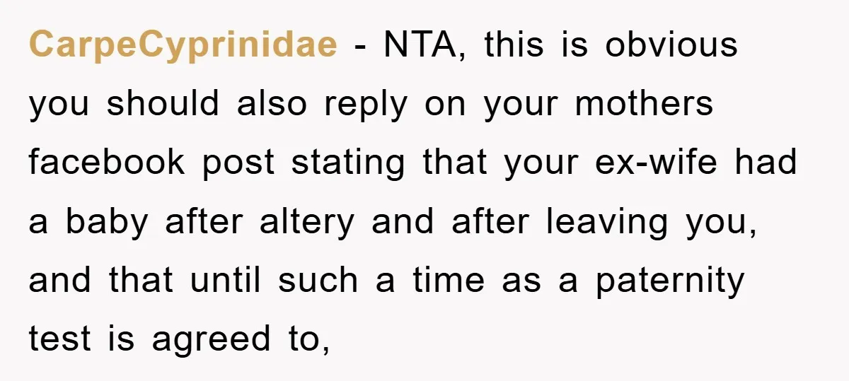 CarpeCyprinidae - NTA, this is obvious you should also reply on your mothers facebook post stating that your ex-wife had a baby after altery and after leaving you, and that...