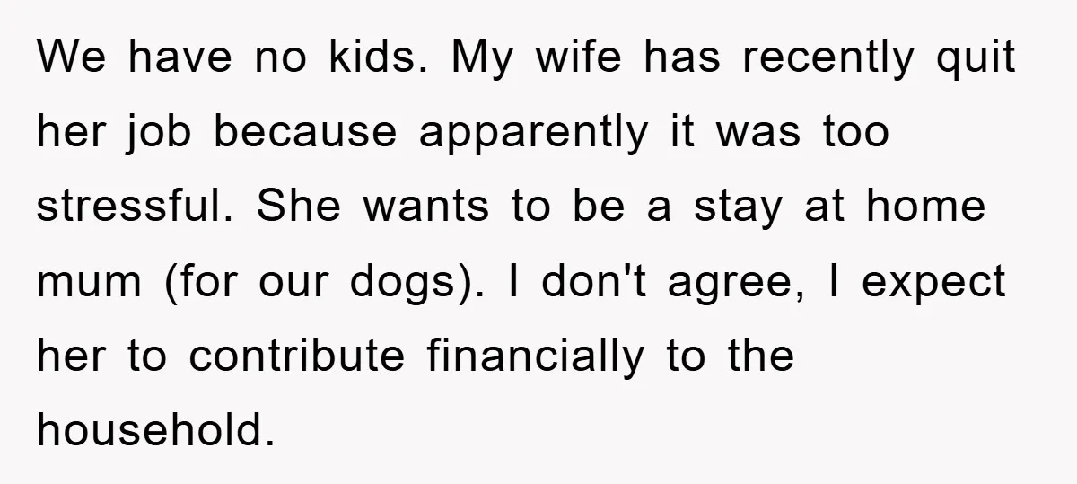 We have no kids. My wife has recently quit her job because apparently it was too stressful. She wants to be a stay at home mum (for our dogs). I...