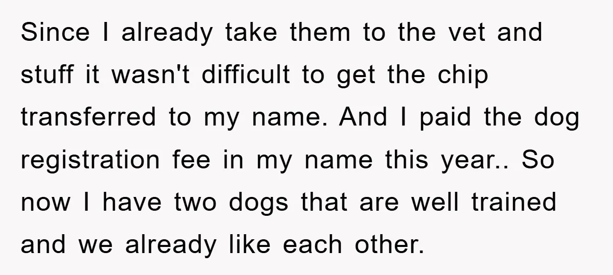 Since I already take them to the vet and stuff it wasn't difficult to get the chip transferred to my name. And I paid the dog registration fee in my...