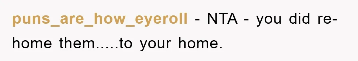 puns_are_how_eyeroll − NTA - you did re-home them.....to your home.