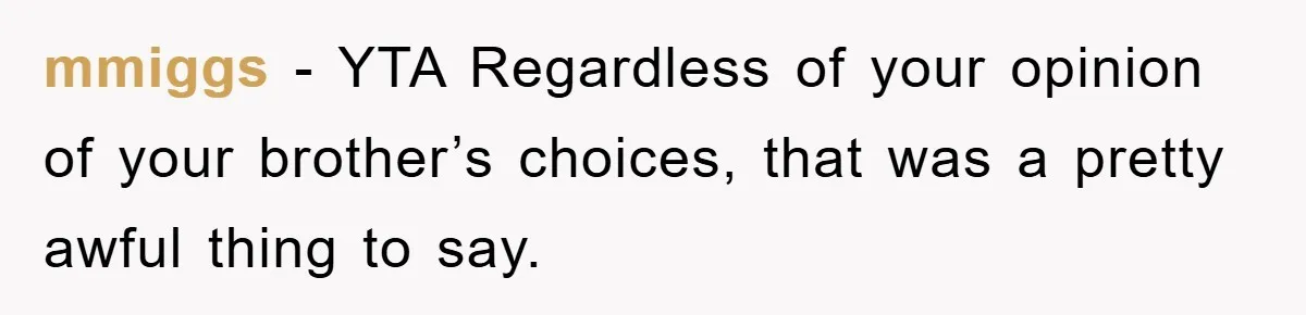 mmiggs - YTA Regardless of your opinion of your brother’s choices, that was a pretty awful thing to say.