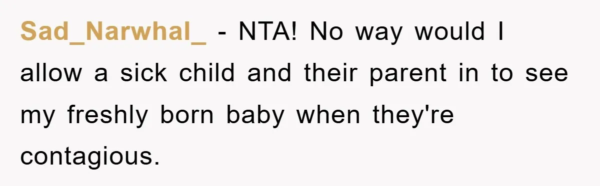Sad_Narwhal_ − NTA! No way would I allow a sick child and their parent in to see my freshly born baby when they're contagious.