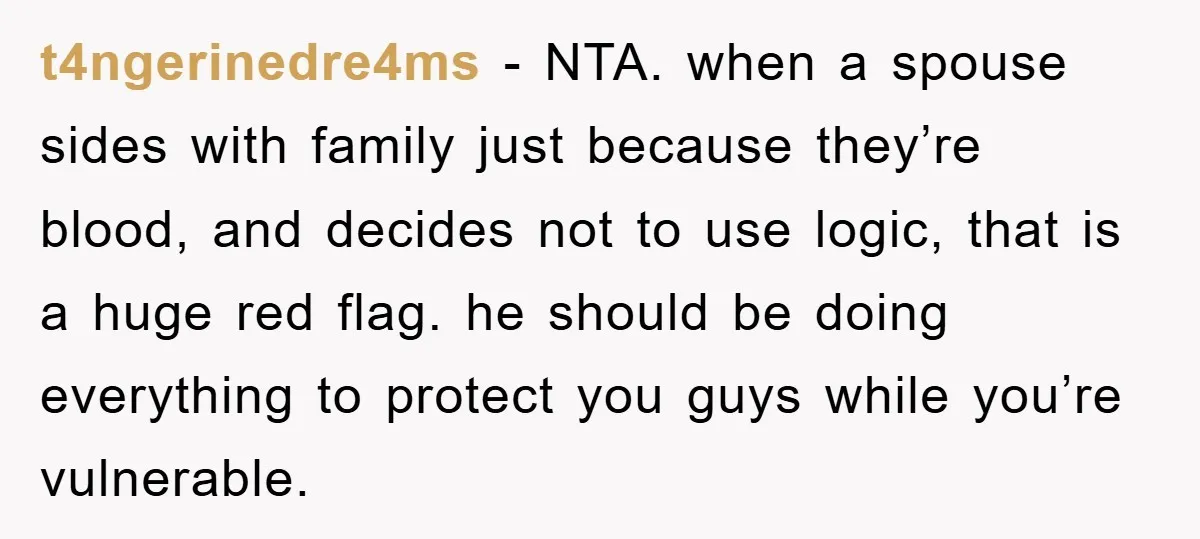 t4ngerinedre4ms − NTA. when a spouse sides with family just because they’re blood, and decides not to use logic, that is a huge red flag. he should be doing everything...