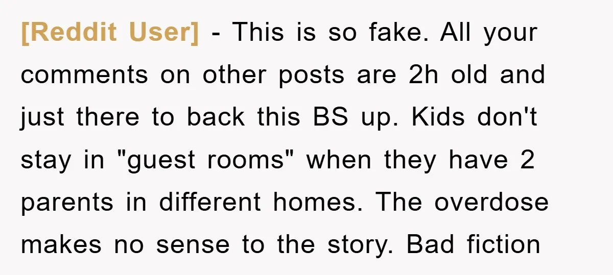 [Reddit User] − This is so fake. All your comments on other posts are 2h old and just there to back this BS up. Kids don't stay in "guest rooms"...