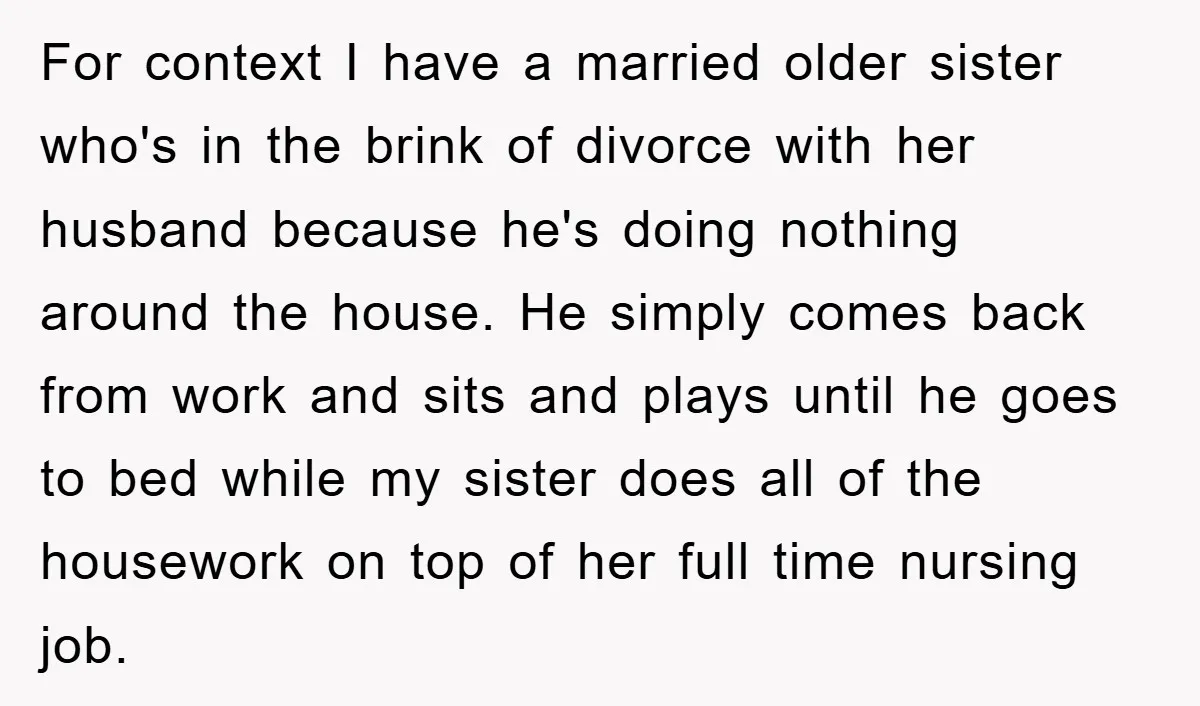 For context I have a married older sister who's in the brink of divorce with her husband because he's doing nothing around the house. He simply comes back from work...