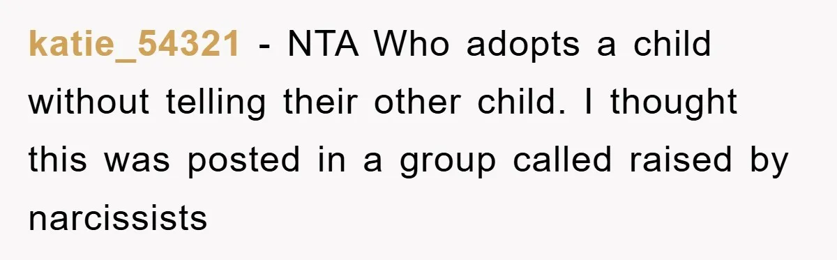 katie_54321 − NTA Who adopts a child without telling their other child. I thought this was posted in a group called raised by narcissists