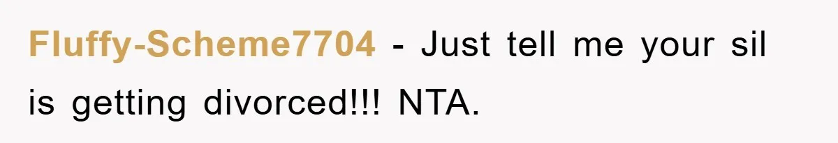 Fluffy-Scheme7704 − Just tell me your sil is getting divorced!!! NTA.