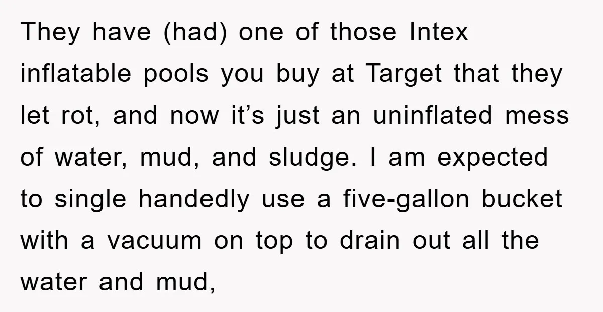 They have (had) one of those Intex inflatable pools you buy at Target that they let rot, and now it’s just an uninflated mess of water, mud, and sludge. I...