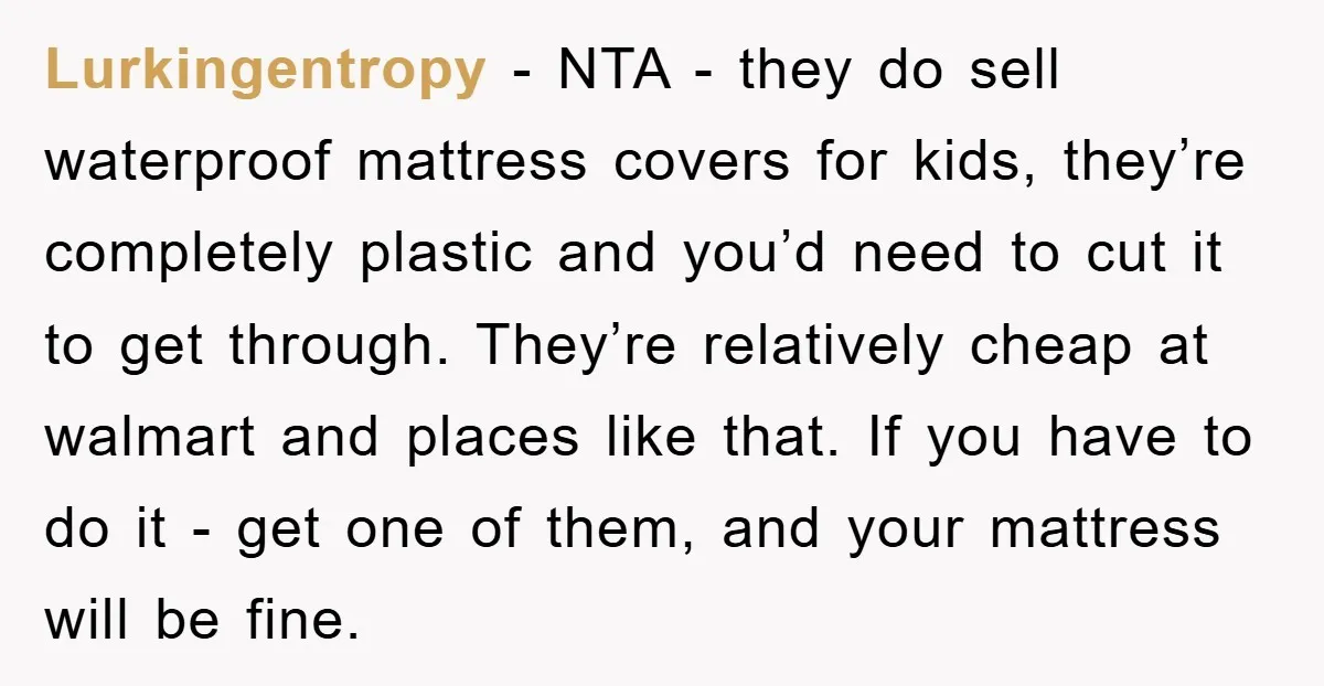 Lurkingentropy - NTA - they do sell waterproof mattress covers for kids, they’re completely plastic and you’d need to cut it to get through. They’re relatively cheap at walmart and...