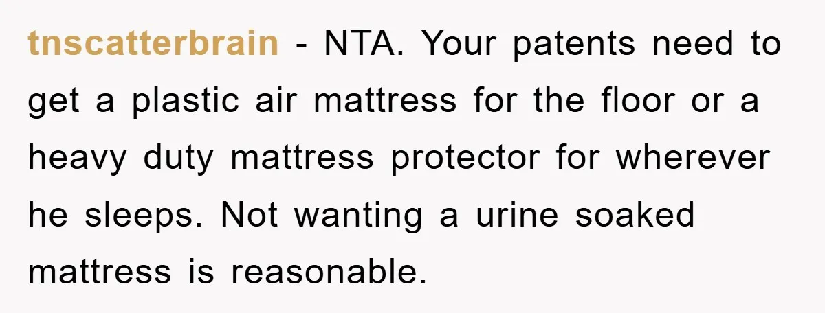 tnscatterbrain - NTA. Your patents need to get a plastic air mattress for the floor or a heavy duty mattress protector for wherever he sleeps. Not wanting a urine soaked...