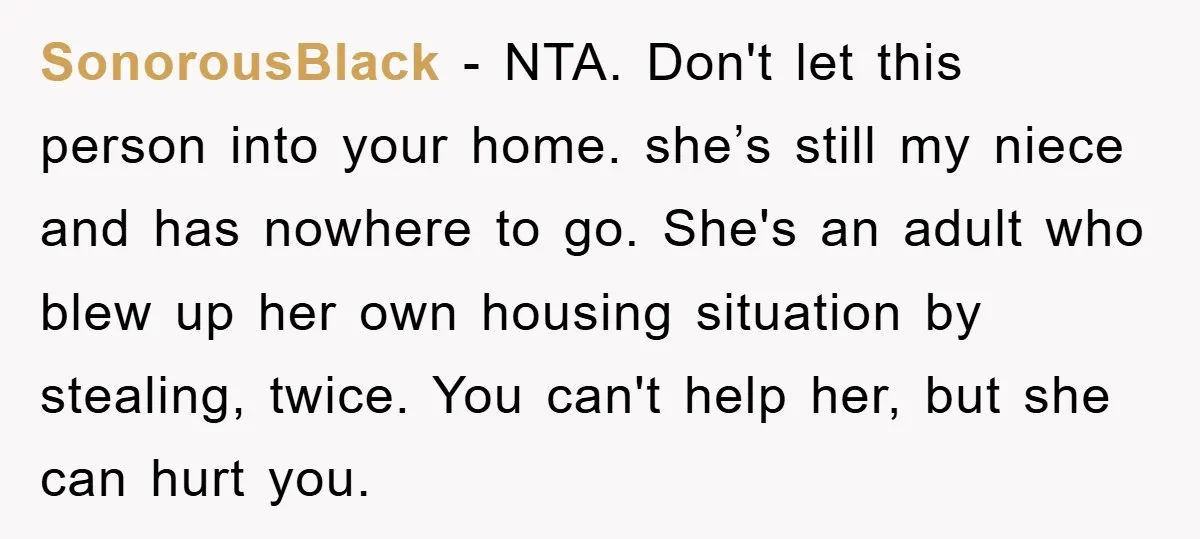 SonorousBlack − NTA. Don't let this person into your home. she’s still my niece and has nowhere to go. She's an adult who blew up her own housing situation by...