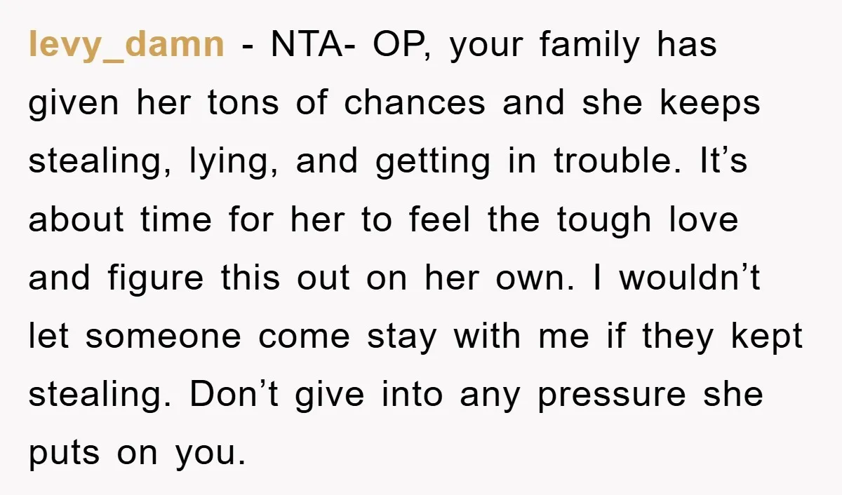 levy_damn − NTA- OP, your family has given her tons of chances and she keeps stealing, lying, and getting in trouble. It’s about time for her to feel the tough...