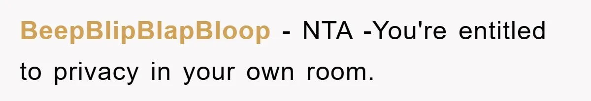 BeepBlipBlapBloop − NTA -You're entitled to privacy in your own room.