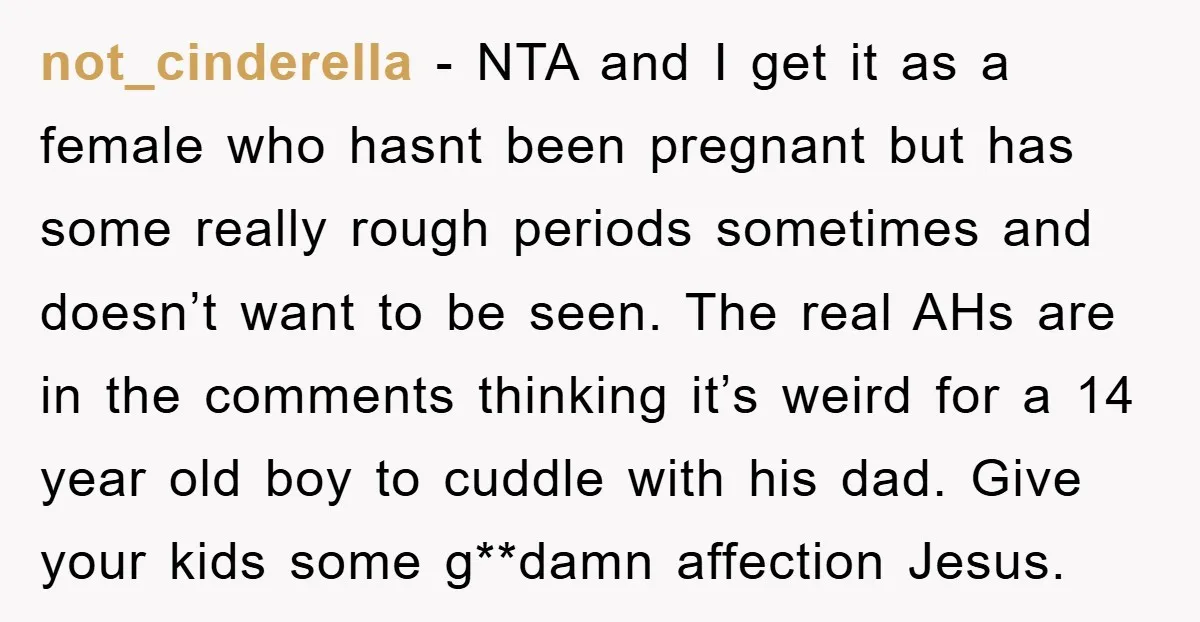 not_cinderella − NTA and I get it as a female who hasnt been pregnant but has some really rough periods sometimes and doesn’t want to be seen. The real AHs...