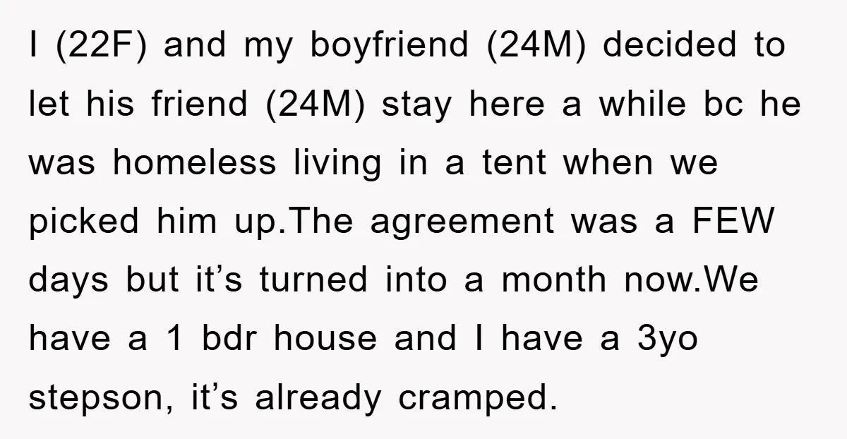 I (22F) and my boyfriend (24M) decided to let his friend (24M) stay here a while bc he was homeless living in a tent when we picked him up.The agreement...